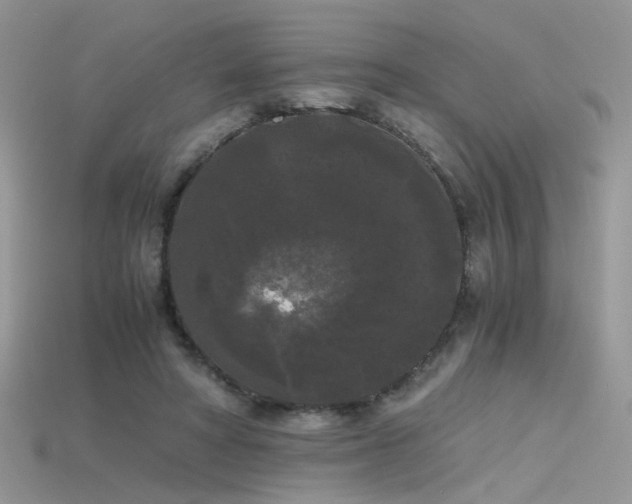 X0000115700402200911121408