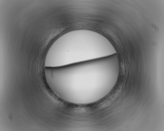 X0000115700404200911121408