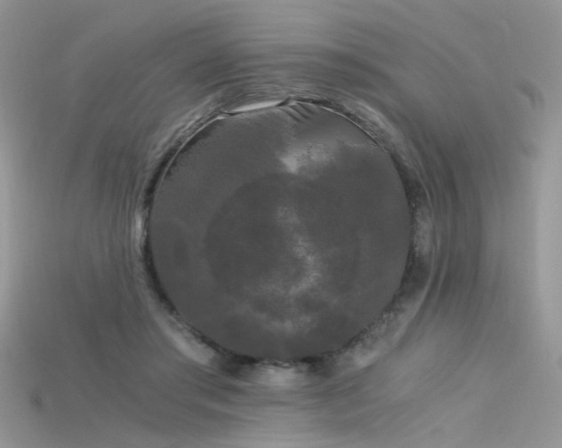 X0000115700405200911121408