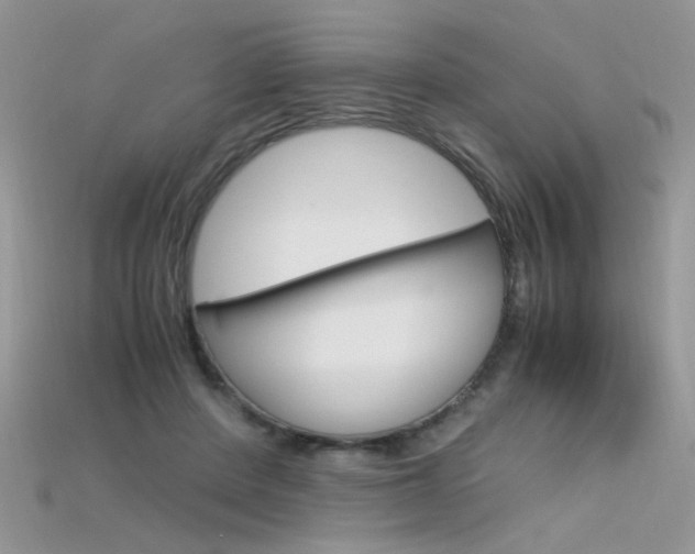 X0000115700408200911121408