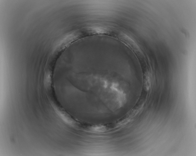 X0000115700410200911121408