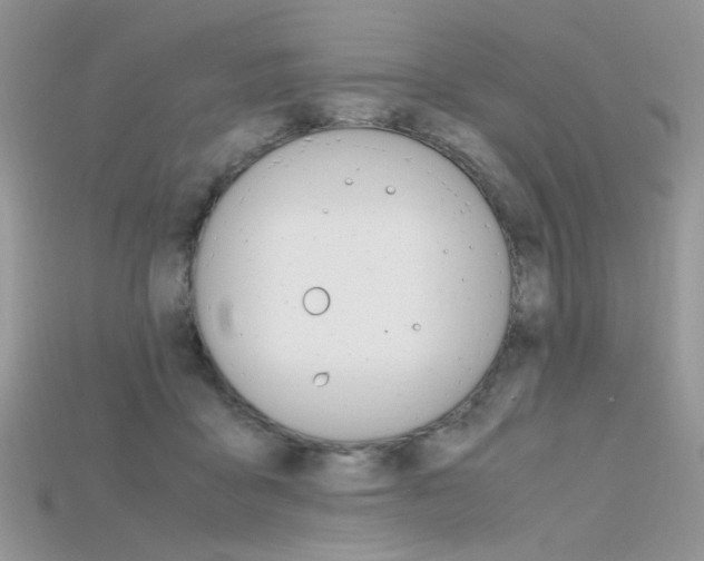 X0000115700411200911121408