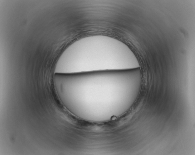 X0000115700412200911121408