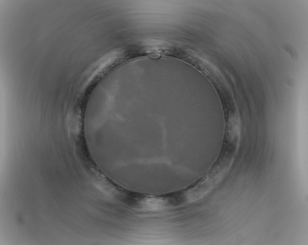 X0000115700413200911121408