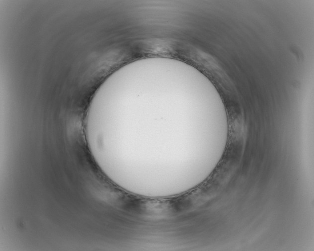 X0000115700415200911121408