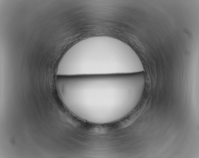 X0000115700416200911121408