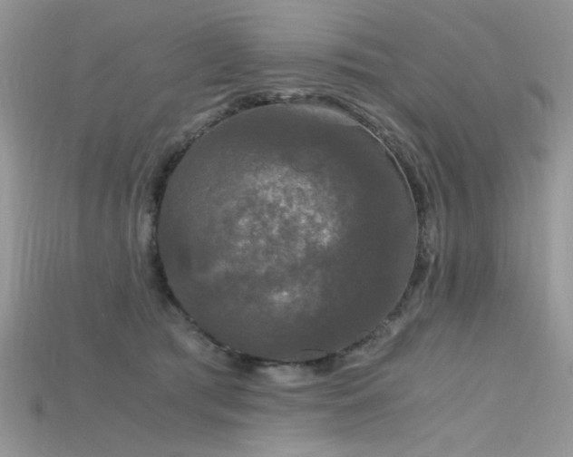 X0000115700417200911121408