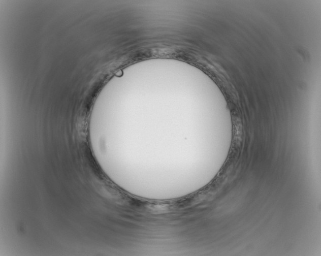 X0000115700419200911121408