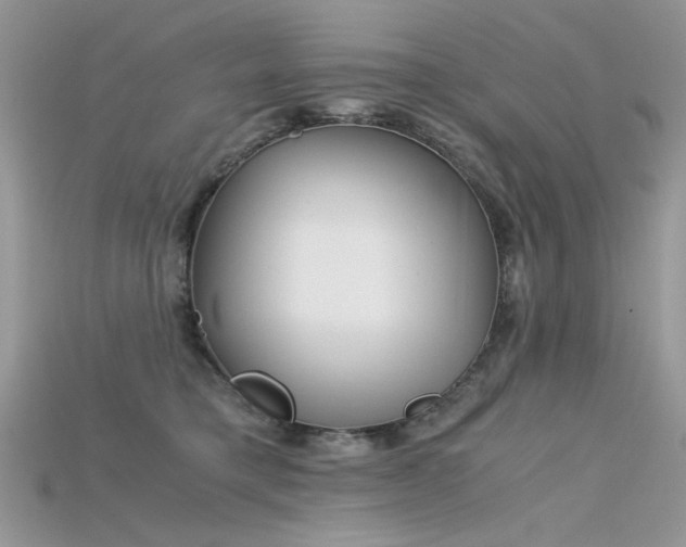 X0000115700421200911121408