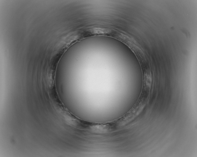 X0000115700422200911121408