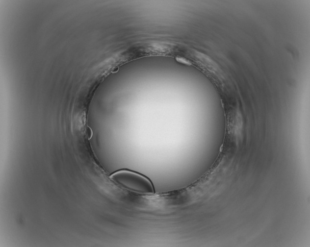 X0000115700425200911121408