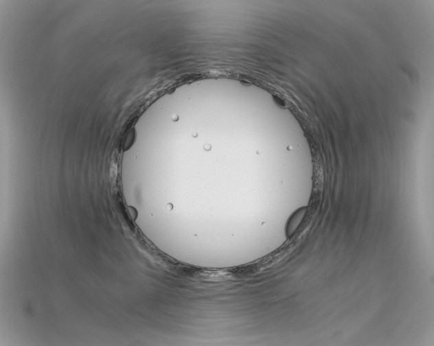 X0000115700427200911121408