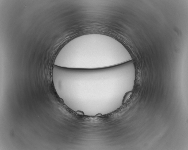 X0000115700428200911121408
