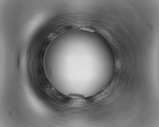 X0000115700429200911121408