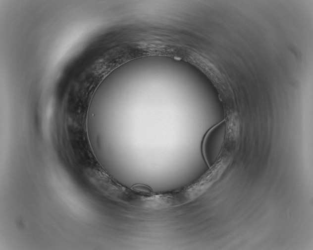 X0000115700430200911121408