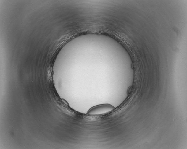 X0000115700432200911121408