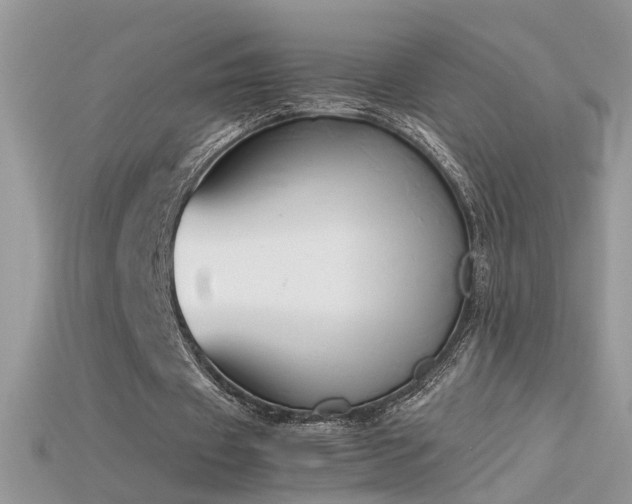 X0000115700433200911121407