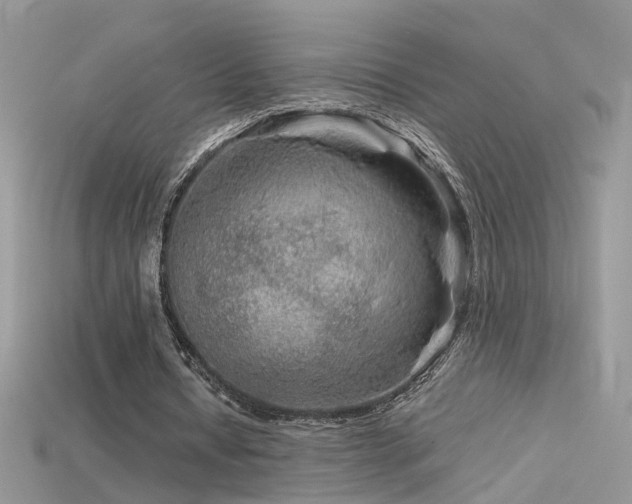 X0000115700434200911121408