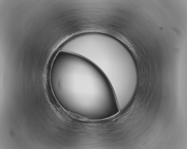 X0000115700436200911121408