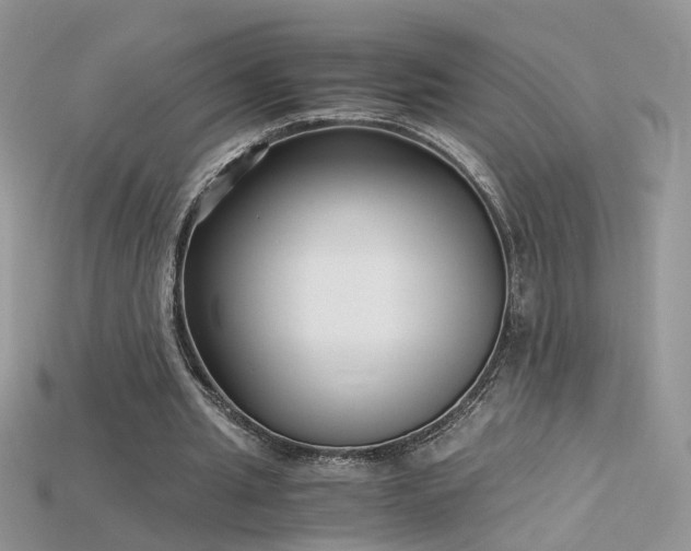 X0000115700437200911121408