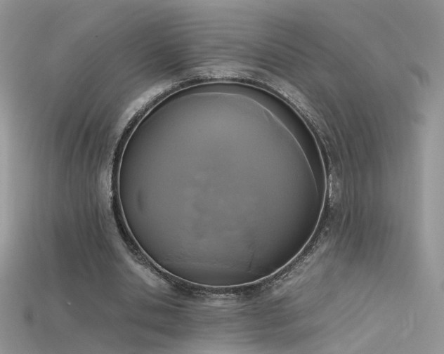 X0000115700438200911121408