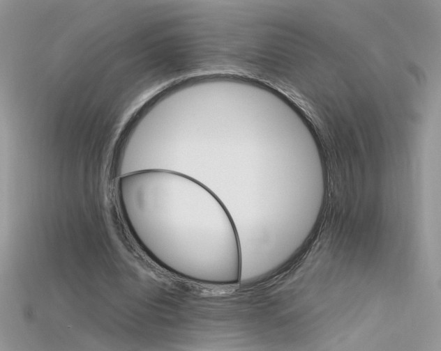 X0000115700440200911121408