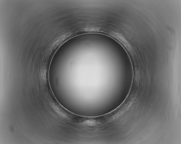 X0000115700441200911121408