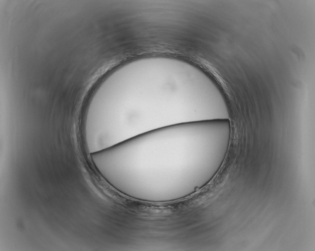 X0000115700443200911121408