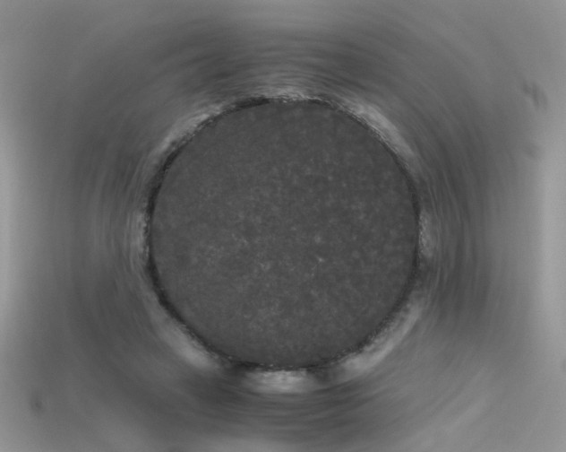 X0000115700449200911121408