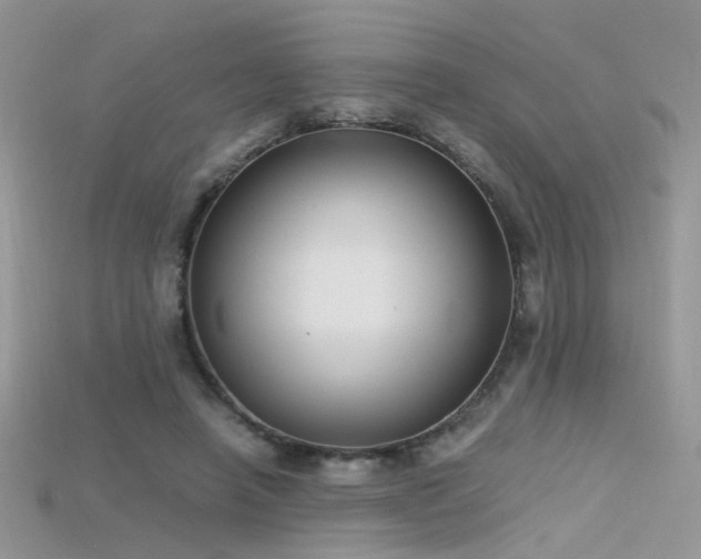 X0000115700450200911121408