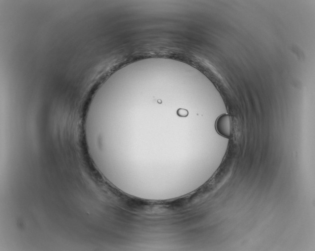 X0000115700451200911121408
