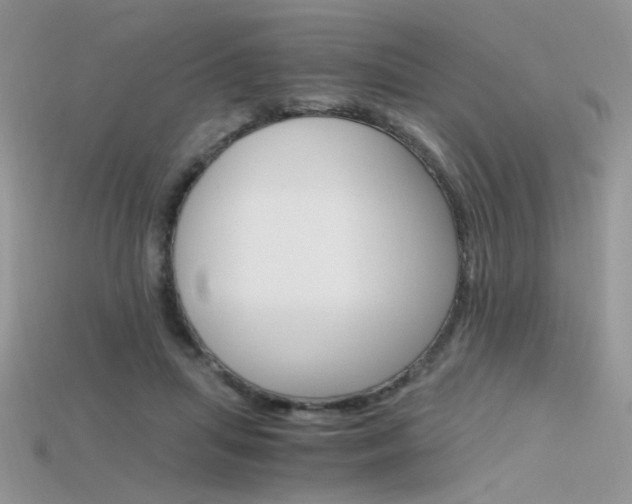 X0000115700455200911121408