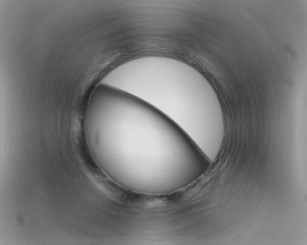 X0000115700456200911121408