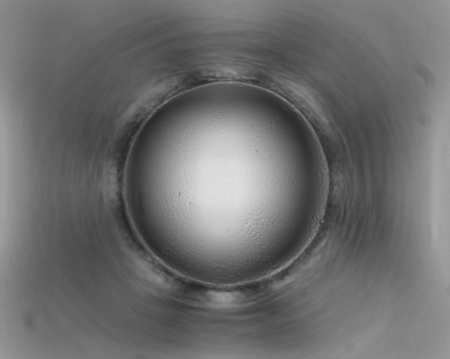 X0000115700457200911121408