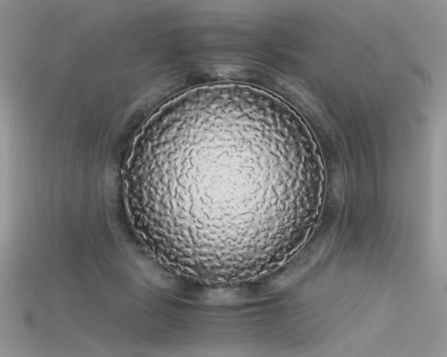 X0000115700461200911121408