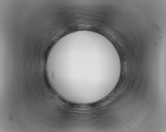X0000115700463200911121408