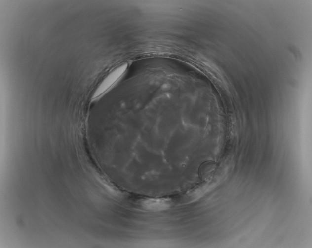 X0000115700465200911121408