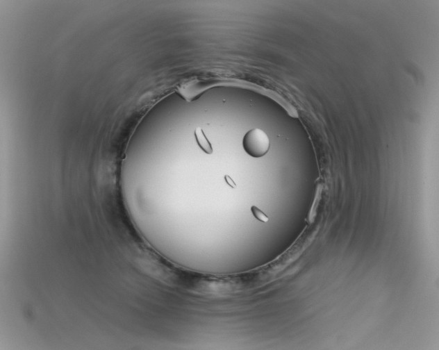 X0000115700466200911121408