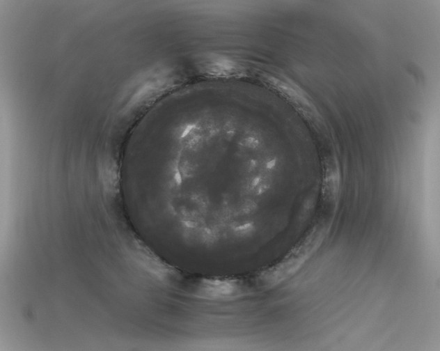 X0000115700469200911121408
