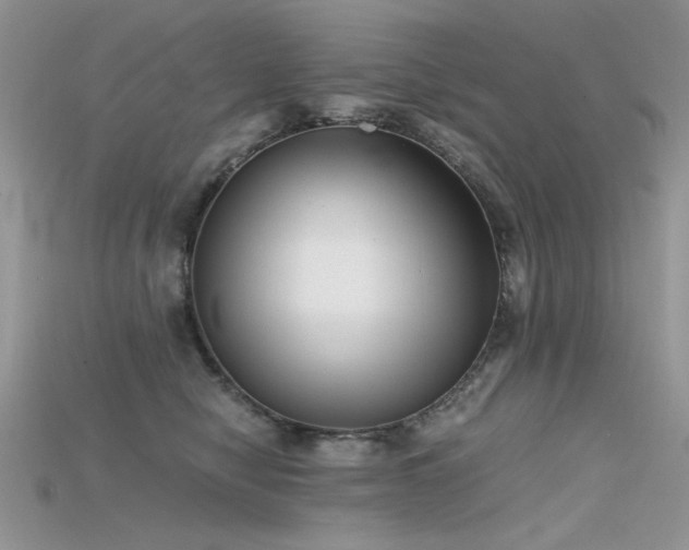 X0000115700470200911121408