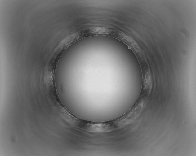 X0000115700473200911121408