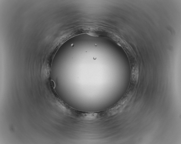 X0000115700474200911121408