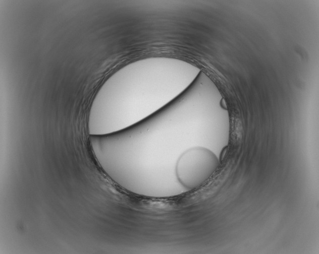 X0000115700475200911121408