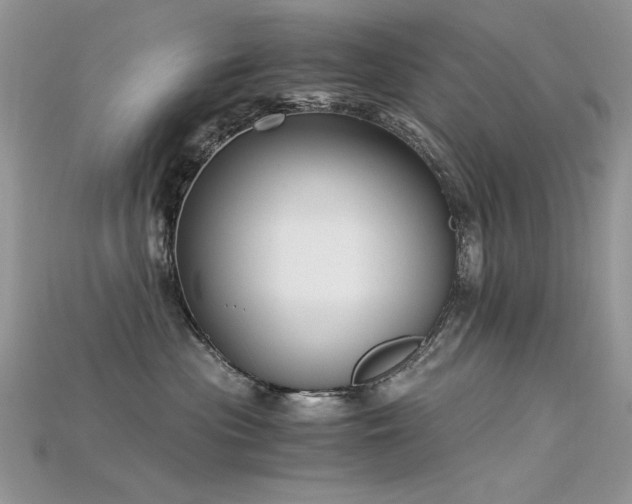 X0000115700477200911121408