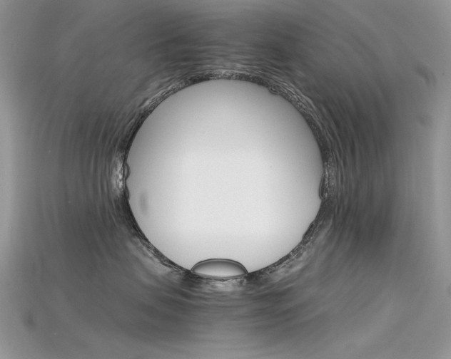X0000115700479200911121408
