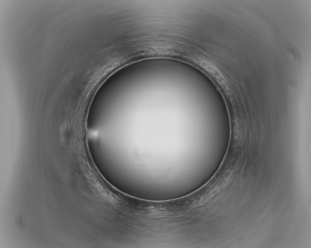 X0000115700481200911121407