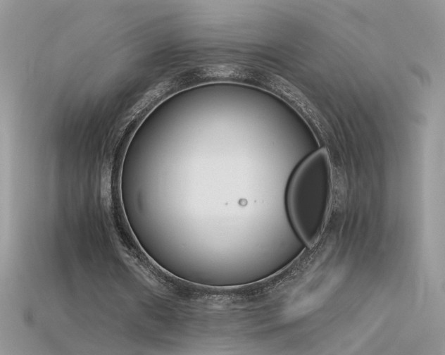 X0000115700482200911121407