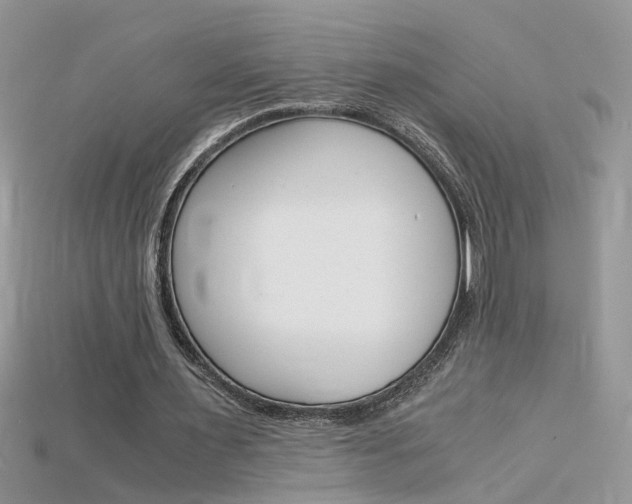 X0000115700483200911121407