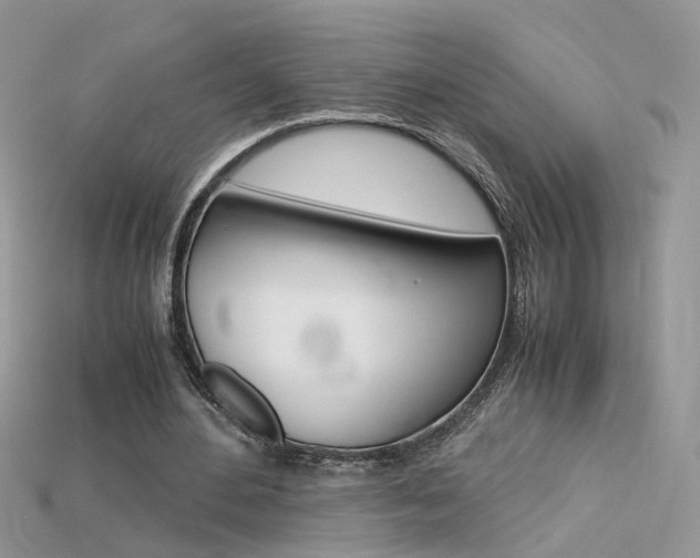 X0000115700484200911121407