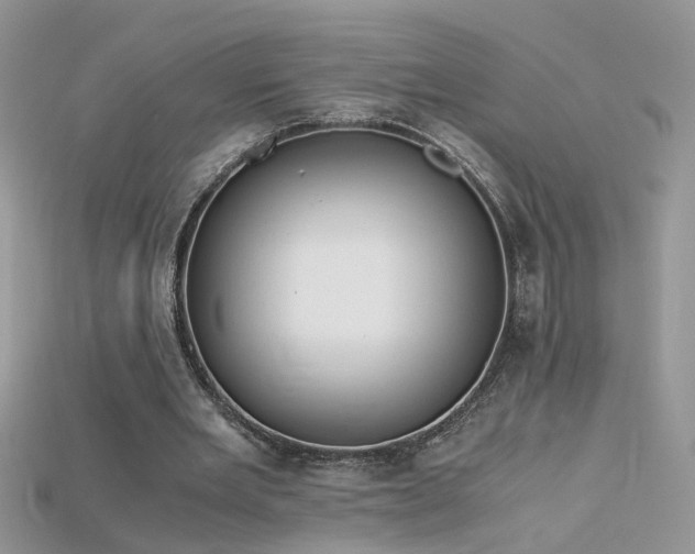 X0000115700485200911121407